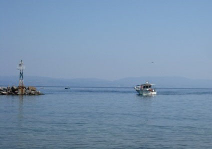seaskala